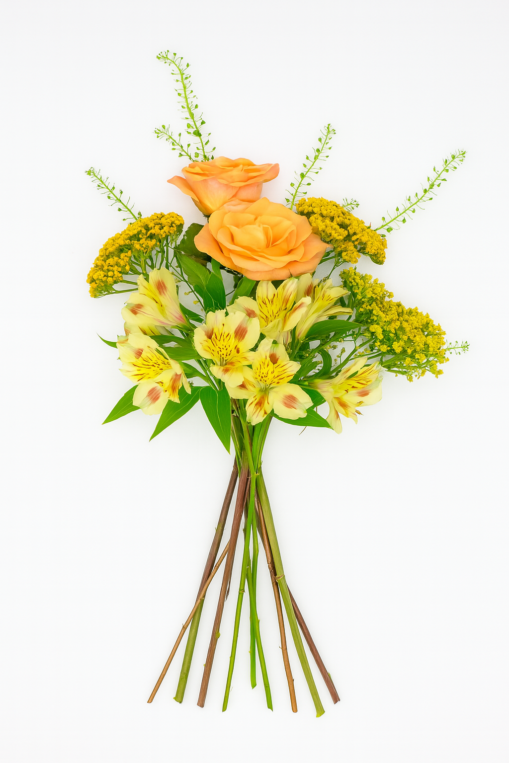 Golden Glow Letterbox Flowers