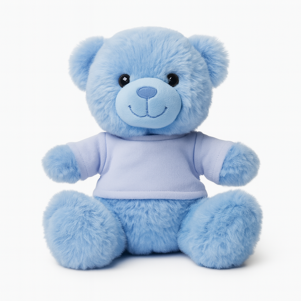 Blue Teddy Bear with T-Shirt